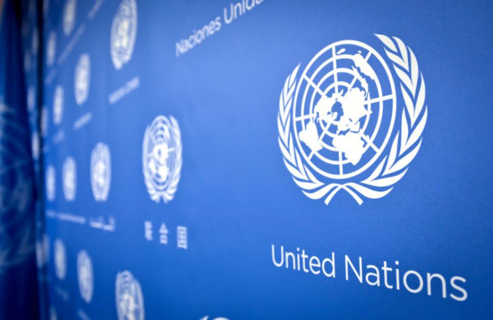 منظمة الأمم المتحدة إصرار على الفشل