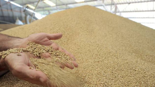 فرنسا تعتزم تزويد تونس بـ35% من حاجياتها من القمح الليّن و50% من الشّعير