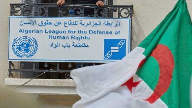 خبيرة « حقوق الإنسان » الأممية في الجزائر: حين تستباح الحصون يستأسد البغاث..